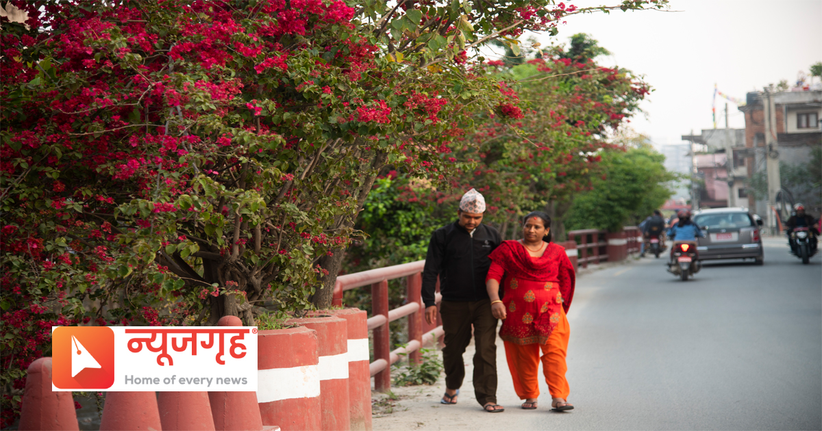phool 11681536380.jpg